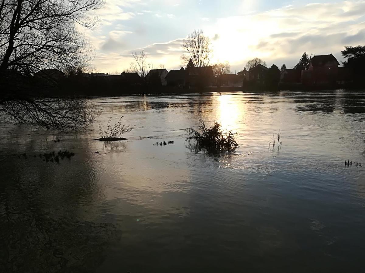 Les Pingouins De La Marne Bed & Breakfast Le Perreux Sur Marne Bagian luar foto