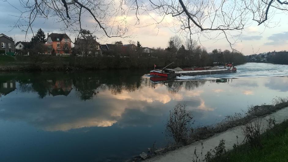 Les Pingouins De La Marne Bed & Breakfast Le Perreux Sur Marne Bagian luar foto
