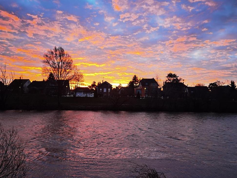 Les Pingouins De La Marne Bed & Breakfast Le Perreux Sur Marne Bagian luar foto